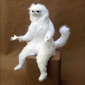 Meet your Posher, Christopher